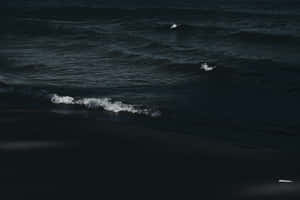 Mysterious And Mesmerizing Dark Ocean Wallpaper