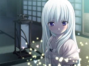 Mysterious Anime Girlwith Lantern Wallpaper