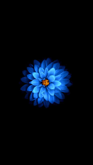 Mysterious Blooming Dark Flower Wallpaper
