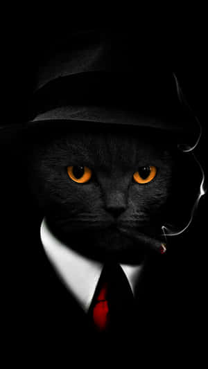 Mysterious Catin Fedoraand Tie Wallpaper