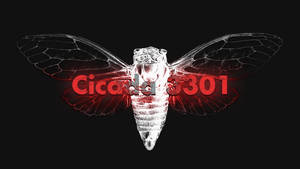 Mysterious Cicada 3301 Internet Puzzle Poster. Wallpaper