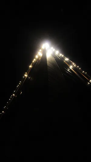 Mysterious Dark Corner In A Forest Wallpaper