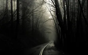 Mysterious Dark Forest Path Wallpaper