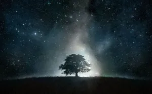 Mysterious Dark Landscape Wallpaper