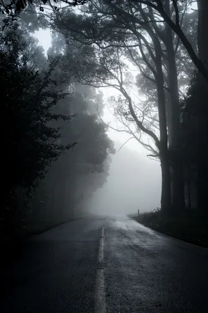 Mysterious Dark Road At Night Wallpaper