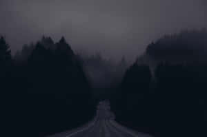 Mysterious Dark Road In A Moonlit Forest Wallpaper