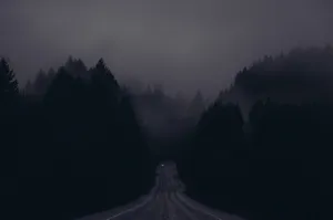 Mysterious Dark Road In A Moonlit Forest Wallpaper