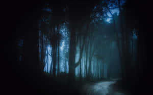 Mysterious Dark Road In Moonlit Forest Wallpaper