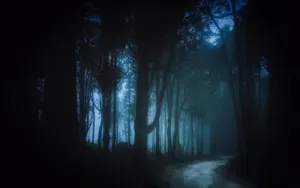 Mysterious Dark Road In Moonlit Forest Wallpaper