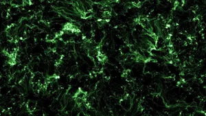 Mysterious Fluidity Of Dark Abstract Art Wallpaper