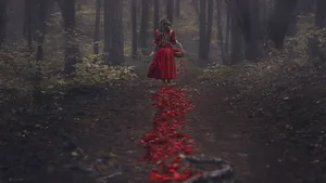 Mysterious Forest In Dark Tales Wallpaper