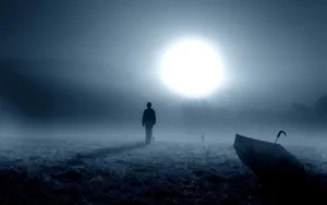 Mysterious Forest Path Wallpaper