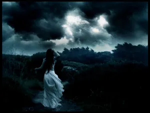 Mysterious Forest Path Wallpaper