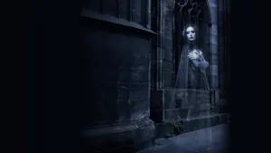 Mysterious Full Moon Night In A Forest Wallpaper