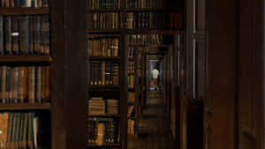 Mysterious Library Corridor Wallpaper