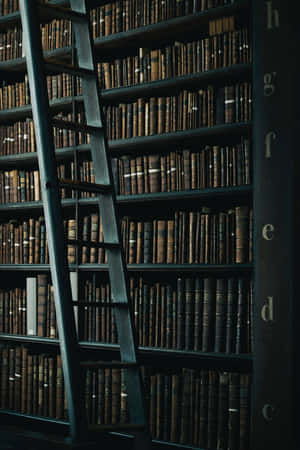 Mysterious Library Ladderand Books Wallpaper