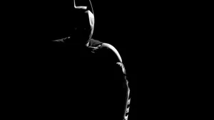 Mysterious Shadow Of The Bat In The Moonlight Wallpaper