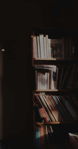 Mysterious_ Shadowed_ Bookshelf Wallpaper