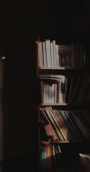 Mysterious_ Shadowed_ Bookshelf Wallpaper