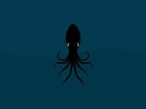 Mysterious Squid Silhouette Wallpaper