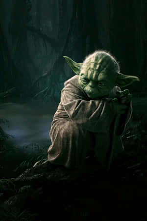 Mysterious_ Yoda_in_ Dagobah_ Swamp Wallpaper