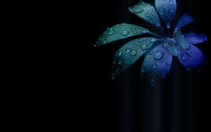 Mystic Blue Dewy Flower Wallpaper