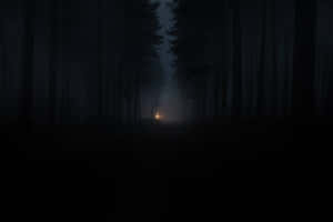 Mystic Forest Lantern Glow Wallpaper