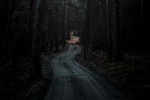 Mystic Forest Path Dark Aesthetic.jpg Wallpaper