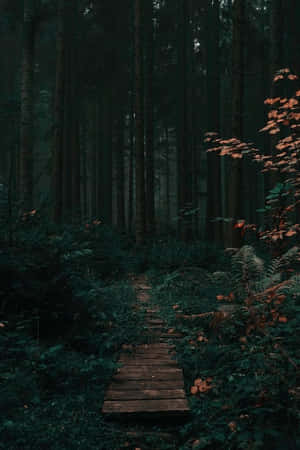 Mystic Forest Pathway Wallpaper