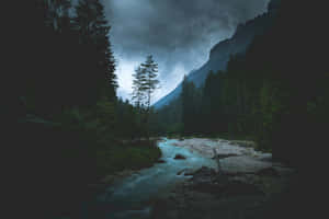 Mystic_ Forest_ River.jpg Wallpaper