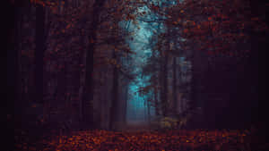 Mystical Autumn Forest Path Wallpaper