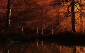 Mystical_ Autumn_ Forest_ Reflections Wallpaper