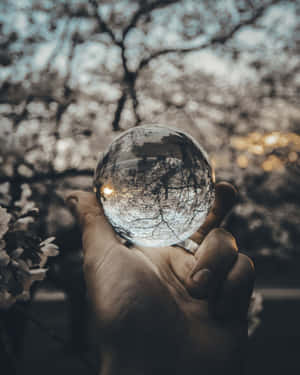 Mystical Crystal Ball On A Table Wallpaper