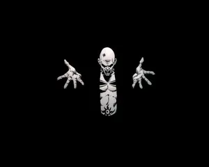 Mystical Dark Forest Wallpaper