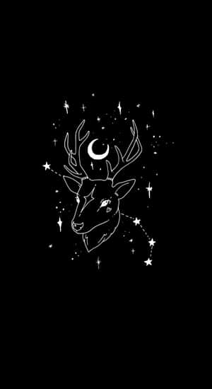 Mystical Deer Tarot Symbol Wallpaper
