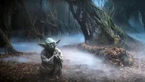 Mystical Foggy Swampwith Yoda Wallpaper