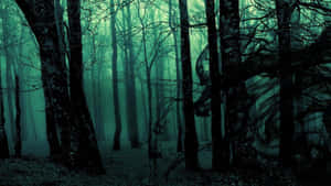 Mystical Forest Fog Wallpaper