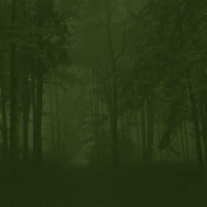 Mystical_ Forest_ Fog_ Dark_ Fairycore.jpg Wallpaper
