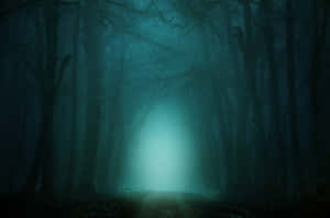 Mystical_ Forest_ Glow Wallpaper