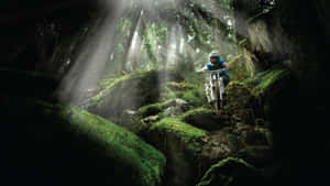 Mystical Forest Mountain Biking Wallpaper