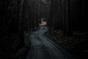 Mystical Forest Path Dusk Wallpaper