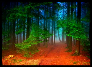 Mystical Forest Path Wallpaper