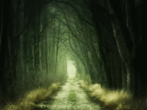 Mystical Forest Pathway Wallpaper