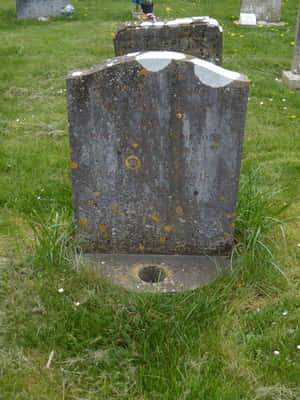 Mystical Gravestone In A Forest Wallpaper