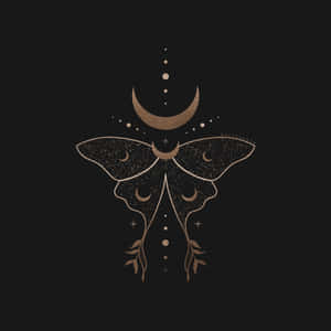 Mystical_ Moth_and_ Crescent_ Moon_ Art Wallpaper