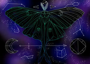 Mystical_ Moth_ Geometric_ Art Wallpaper