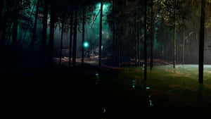 Mystical_ Nighttime_ Bamboo_ Forest Wallpaper