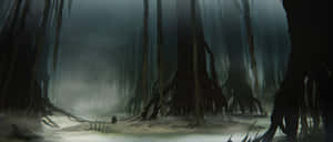 Mystical Swamp Of Dagobah Wallpaper