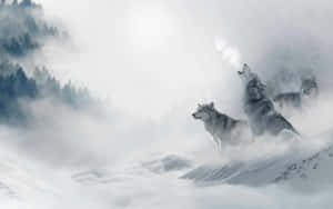 Mystical_ Winter_ Wolves Wallpaper