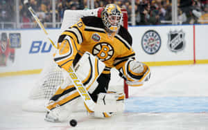 N H L Goalie Action Boston Bruins Wallpaper